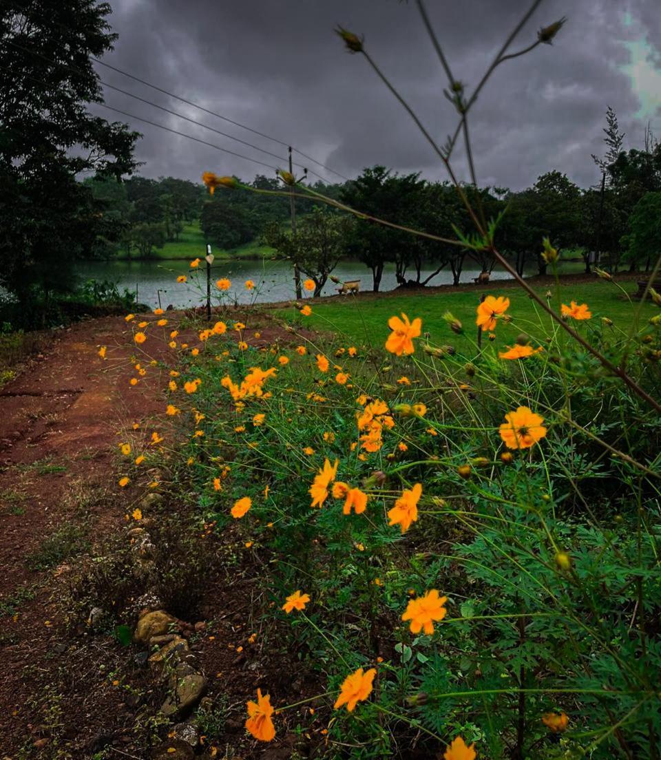 Chalobahills Farmstay Resort Ajra Exterior photo